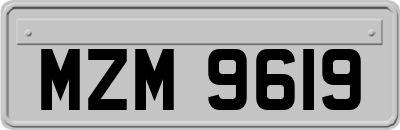 MZM9619