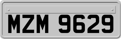 MZM9629