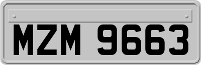 MZM9663