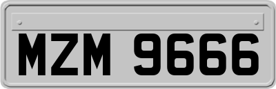 MZM9666