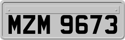 MZM9673