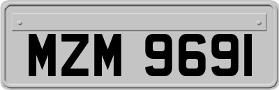 MZM9691
