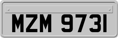 MZM9731