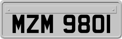 MZM9801