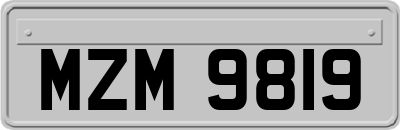 MZM9819