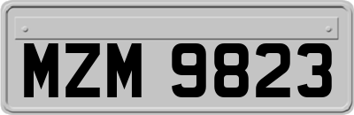 MZM9823