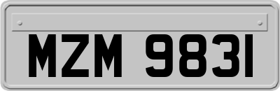 MZM9831