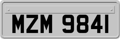 MZM9841