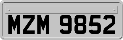 MZM9852
