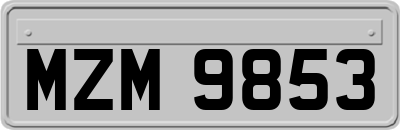 MZM9853