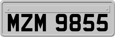 MZM9855