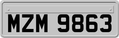 MZM9863