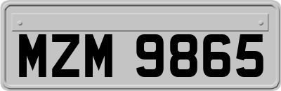 MZM9865
