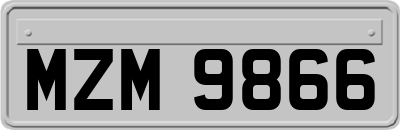 MZM9866