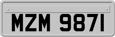 MZM9871