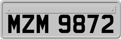 MZM9872