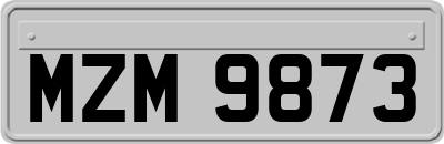 MZM9873