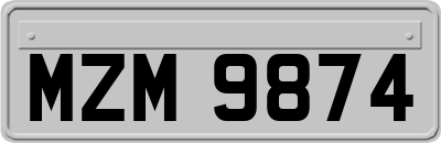 MZM9874