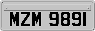 MZM9891