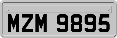 MZM9895