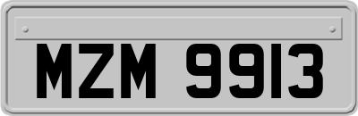 MZM9913