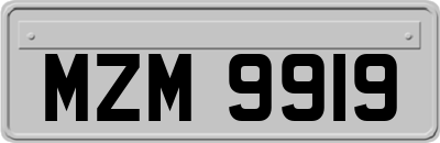 MZM9919