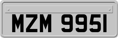 MZM9951
