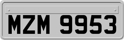 MZM9953