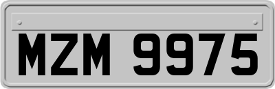 MZM9975