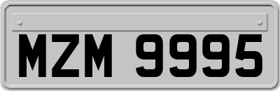 MZM9995