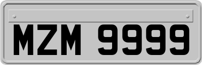 MZM9999