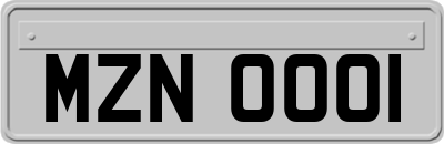 MZN0001