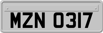 MZN0317