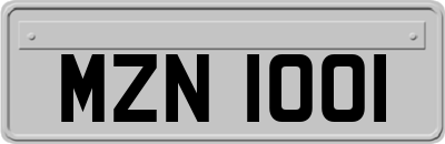 MZN1001