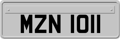 MZN1011