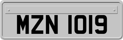 MZN1019