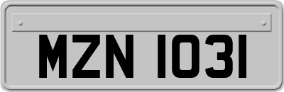 MZN1031