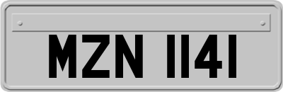 MZN1141