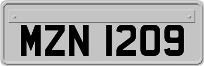 MZN1209