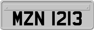 MZN1213