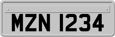 MZN1234