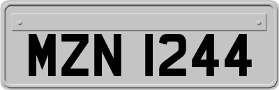 MZN1244