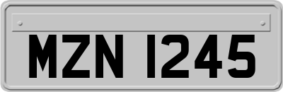 MZN1245