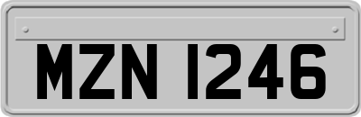 MZN1246