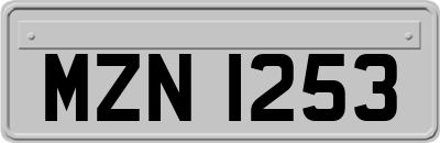 MZN1253