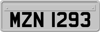 MZN1293