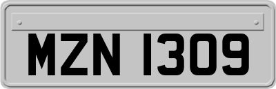 MZN1309