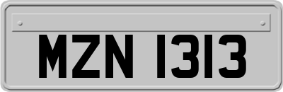 MZN1313