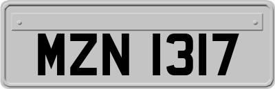 MZN1317