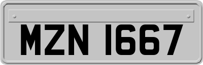 MZN1667